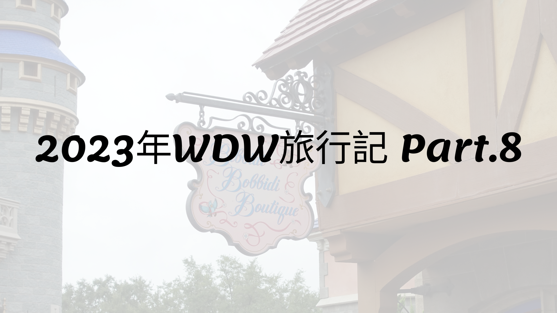 2023年WDW旅行記 Part.8 初めてのビビディ・バビディ・ブティック | のむりえのごった煮