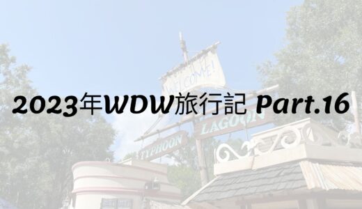 2023年WDW旅行記 Part.16 タイフーンラグーンビーチ